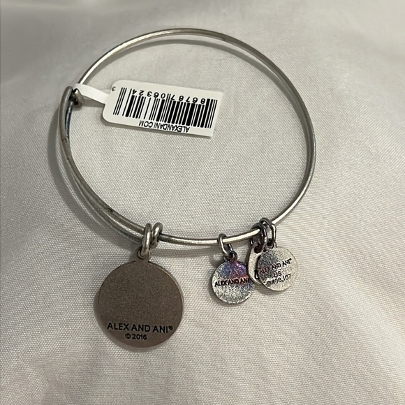 Alex and Ani Silver Tone Aunt Charm Expandable Bracelet - Picture 4 of 6